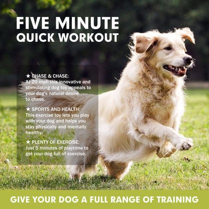 Pet Chase Toys,Interactive Dog Toys,Agility Training Equipment for Dogs,Pet Remote Control Newportable Toys