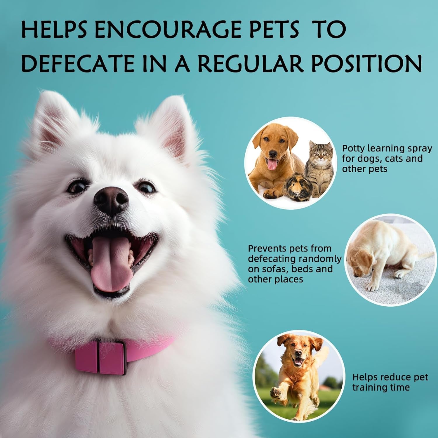 Dog Potty Training Spray,Pee Here Spray for Dogs Indoor & Outdoor,Dog Pee Attractant Spray,Training Spray for Dogs to Pee in One Spot,Prevent Your Pet from Soiling the Carpet,120Ml