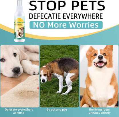 Dog Potty Training Spray,Pee Here Spray for Dogs Indoor & Outdoor,Dog Pee Attractant Spray,Training Spray for Dogs to Pee in One Spot,Prevent Your Pet from Soiling the Carpet,120Ml