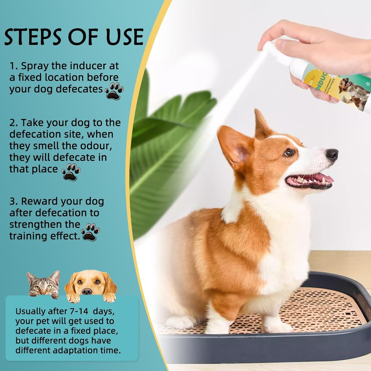 Dog Potty Training Spray,Pee Here Spray for Dogs Indoor & Outdoor,Dog Pee Attractant Spray,Training Spray for Dogs to Pee in One Spot,Prevent Your Pet from Soiling the Carpet,120Ml