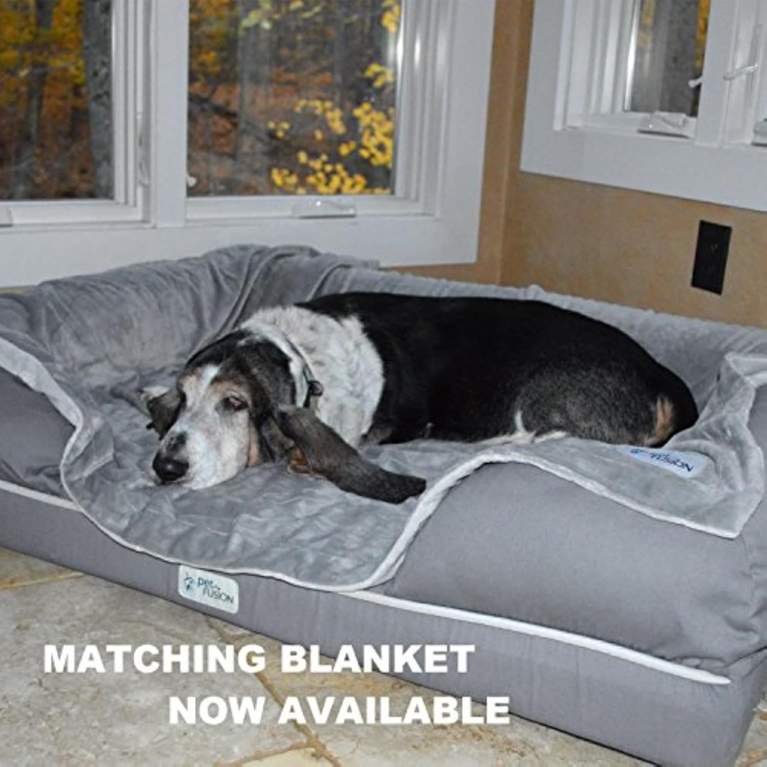 Ultimate Dog Bed, Orthopedic Memory Foam, Multiple Sizes and Colors, Medium Firmness Pillow, Waterproof Liner, YKK Zippers, Breathable 35% Cotton Cover