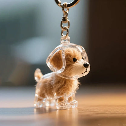 Puppy/Cat Hair Memorial Keepsake Capsule Pet'S Dog/Cat Fur Container Pet Hair Storage Keychain Decor Pet Lovers Pet Souvenirs