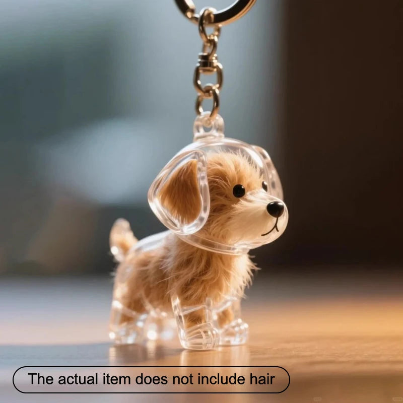 Puppy/Cat Hair Memorial Keepsake Capsule Pet'S Dog/Cat Fur Container Pet Hair Storage Keychain Decor Pet Lovers Pet Souvenirs