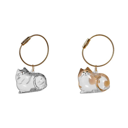 Transparent Cat Hair Storage Box Pendant Cat Hair Capsule Commemorative Collection Bag Pendant Keychain Cat Accessories