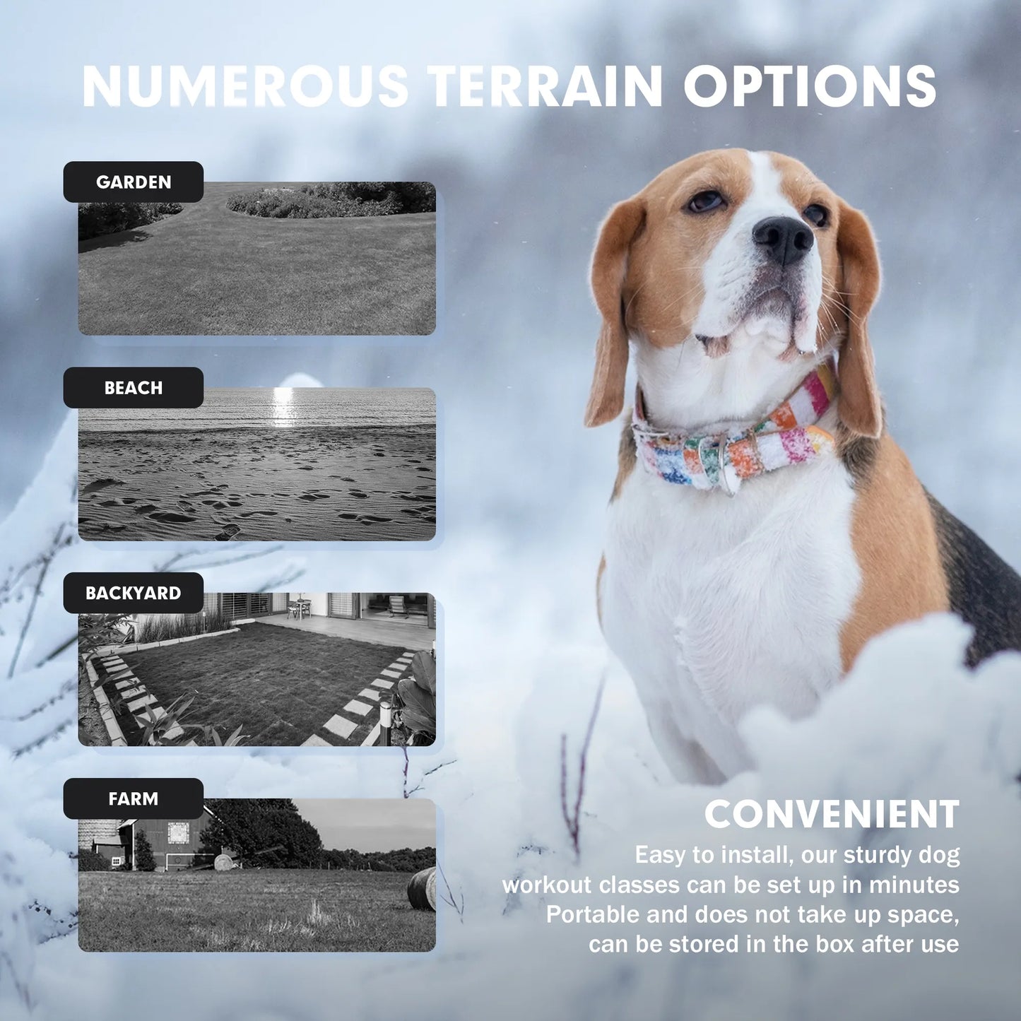 Pet Chase Toys,Interactive Dog Toys,Agility Training Equipment for Dogs,Pet Remote Control Newportable Toys