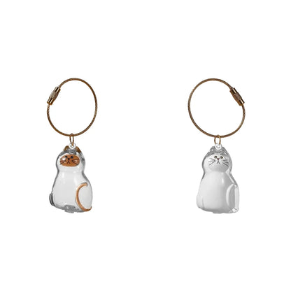 Transparent Cat Hair Storage Box Pendant Cat Hair Capsule Commemorative Collection Bag Pendant Keychain Cat Accessories