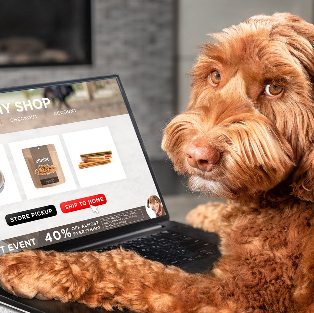 Home Page Banner Image