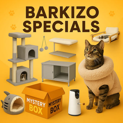 💛 Meow Magic Surprise Box – Standard Edition